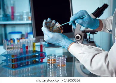 General Microbiology Lab-BMS211-FALL2026-LAB02